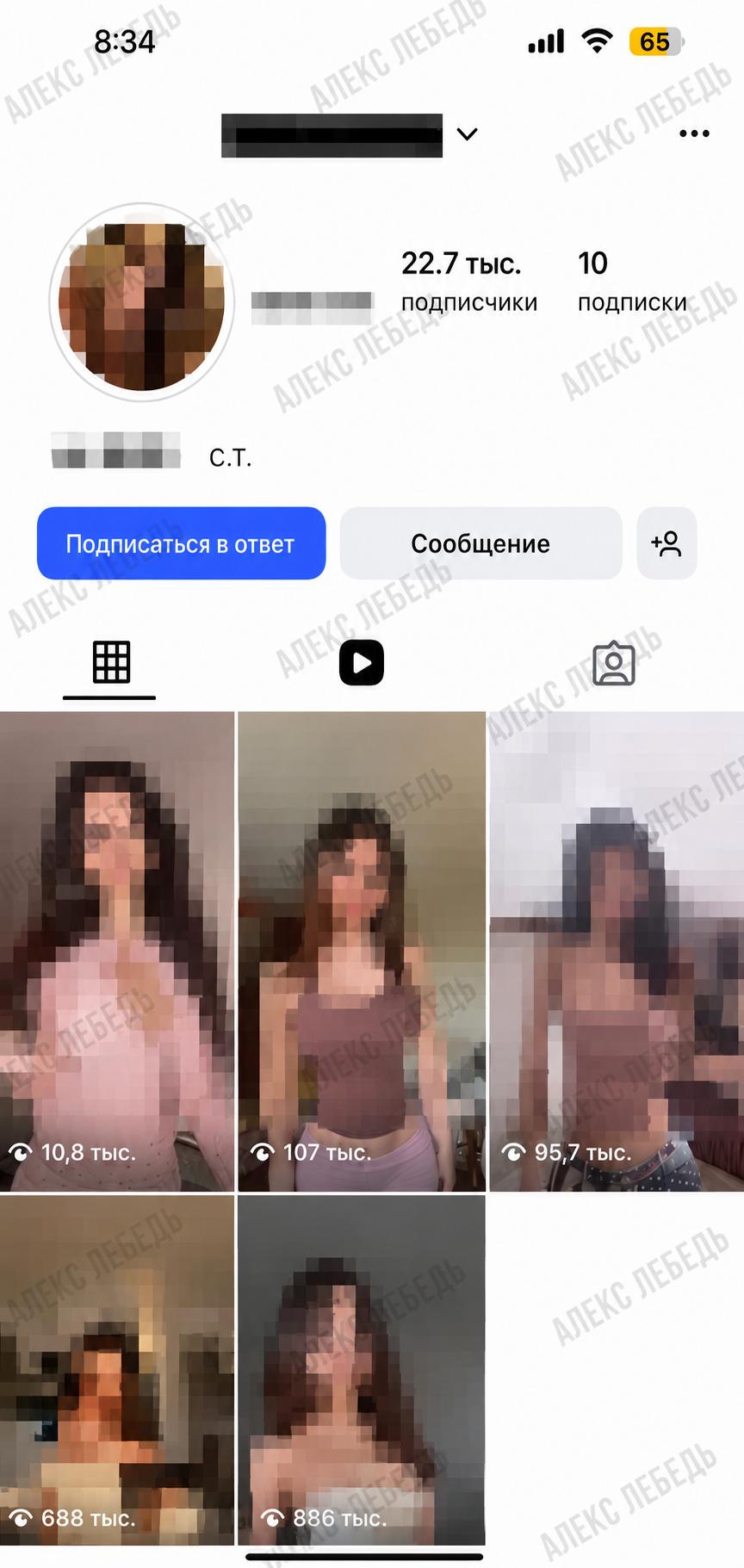 Результат развития профиля AI-модели